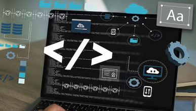 Custom Website Development